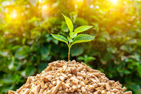 Biomass Energy Solutions